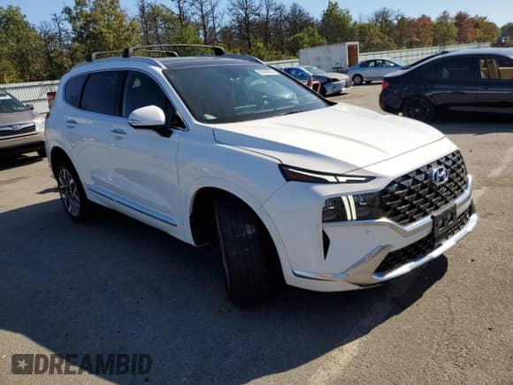 2023 Hyundai Santa Fe Calligraphy with VIN 5NMS5DAL6PH520255, listed as a Copart auction lot 82090035 with 44,423 mi miles and Salvage title. Bid and sale history available at DreamBid. Image 4.