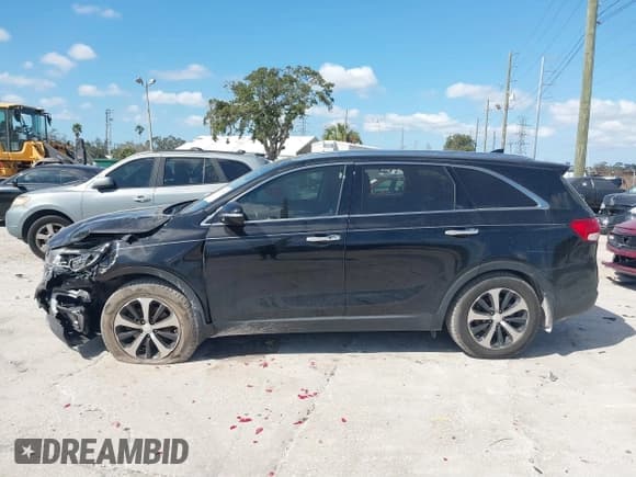 ✅ 2017 Kia Sorento EX • VIN: 5XYPH4A56HG313570 • Lot: 41511058. Wystawiony na IAAI z przebiegiem 90 766 mil. Bezpłatny archiwum sprzedaży aukcyjnych z USA i szczegółowy raport historii pojazdu na DreamBid. Zdjęcie 14.