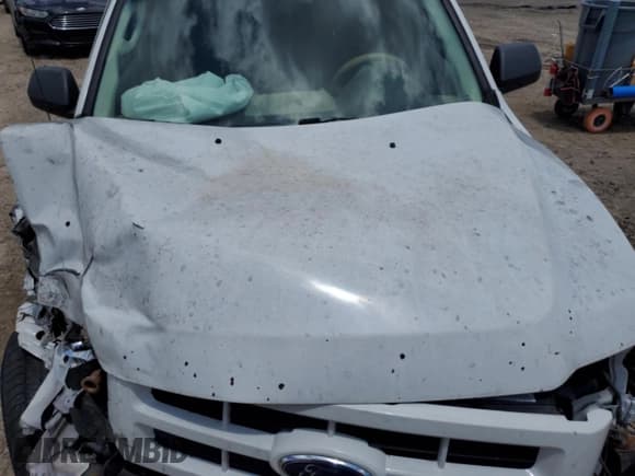 ✅ 2010 Ford Escape Hybrid • VIN: 1FMCU5K33AKA07743 • Lot: 63009965. Listed on Copart with 178,220 mi. Free auction sales archive from the USA and detailed vehicle history report at DreamBid. Image 12.