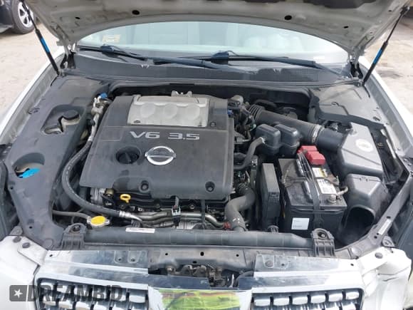 ✅ 2004 Nissan Maxima SL • VIN: 1N4BA41EX4C867925 • Lot: 42120998. Listed on IAAI with 140,871 mi. Free auction sales archive from the USA and detailed vehicle history report at DreamBid. Image 10.