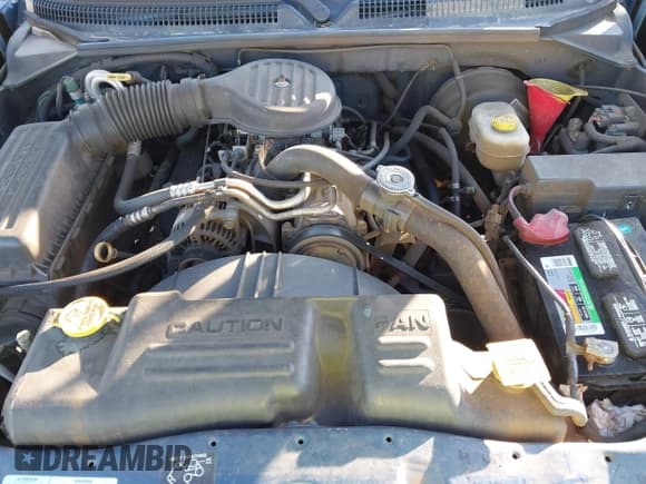 ✅ 2001 Dodge Dakota • VIN: 1B7GL22X11S337066 • Lot: 41008648. Wystawiony na IAAI z przebiegiem 270 749 mil. Bezpłatny archiwum sprzedaży aukcyjnych z USA i szczegółowy raport historii pojazdu na DreamBid. Zdjęcie 10.