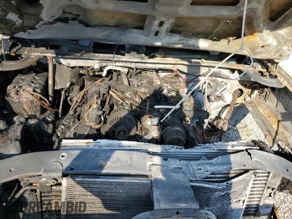 ✅ 2007 Chevrolet Silverado 2500HD 1LT • VIN: 1GCHK23607F504063 • Лот: 80144545. Опубликован ранее на Copart с пробегом Не указан. Бесплатный доступ к архиву аукционных продаж из США и подробный отчёт об истории автомобиля на DreamBid. Изображение 11.