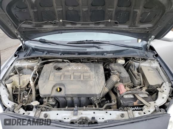 ✅ 2010 Toyota Corolla • VIN: 2T1BU4EE5AC525846 • Lot: 81165005. Wystawiony na Copart z przebiegiem 206 827 mil. Bezpłatny archiwum sprzedaży aukcyjnych z USA i szczegółowy raport historii pojazdu na DreamBid. Zdjęcie 11.