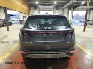 2023 Hyundai Tucson Limited с VIN 5NMJECAE5PH168759, выставлен на аукционе Copart как лот 90705955 с пробегом 13 285 миль миль и Списание • Salvage title. История ставок и продаж доступна на DreamBid. Изображение 6.