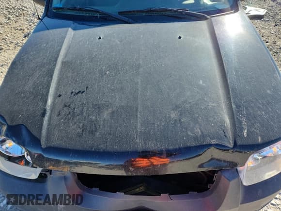 ✅ 2005 Ford Escape XLT • VIN: 1FMYU93105KB49578 • Lot: 89909515. Wystawiony na Copart z przebiegiem 193 691 mil. Bezpłatny archiwum sprzedaży aukcyjnych z USA i szczegółowy raport historii pojazdu na DreamBid. Zdjęcie 11.