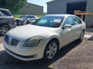 ✅ 2004 Nissan Maxima SL • VIN: 1N4BA41E24C882953 • Lot: 42128172. Listed on IAAI with 190,413 mi. Free auction sales archive from the USA and detailed vehicle history report at DreamBid. Image 2.