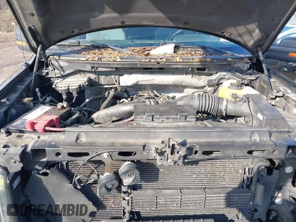 ✅ 2014 Ford F-150 XL • VIN: 1FTFX1ET4EFA09304 • Lot: 43847410. Wystawiony na IAAI z przebiegiem 174 734 mil. Bezpłatny archiwum sprzedaży aukcyjnych z USA i szczegółowy raport historii pojazdu na DreamBid. Zdjęcie 10.