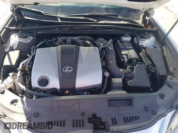 ✅ 2019 Lexus ES 350 Luxury • VIN: 58ABZ1B13KU037036 • Lot: 71675375. Wystawiony na Copart z przebiegiem 30 614 mil. Bezpłatny archiwum sprzedaży aukcyjnych z USA i szczegółowy raport historii pojazdu na DreamBid. Zdjęcie 11.