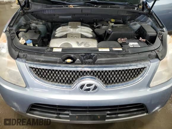 2007 Hyundai Veracruz GLS with VIN KM8NU73CX7U013569, listed as a Copart auction lot 42824305 with 233,632 mi miles and Salvage title. Bid and sale history available at DreamBid. Image 12.