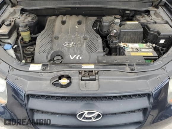 ✅ 2008 Hyundai Santa Fe GLS • VIN: 5NMSG13D38H180918 • Lot: 77901144. Listed on Copart with 157,378 mi. Free auction sales archive from the USA and detailed vehicle history report at DreamBid. Image 12.