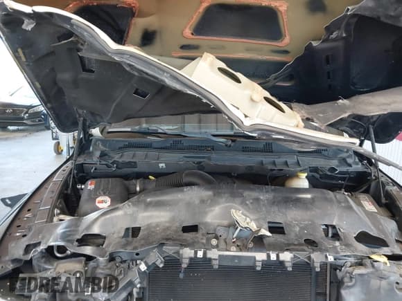 ✅ 2015 Ram 1500 Express • VIN: 1C6RR6FT6FS781970 • Лот: 43667044. Опубликован ранее на IAAI с пробегом 122 879 миль. Бесплатный доступ к архиву аукционных продаж из США и подробный отчёт об истории автомобиля на DreamBid. Изображение 10.