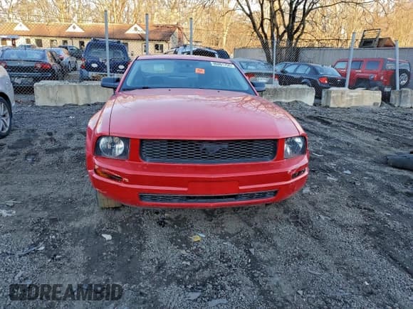 ✅ 2005 Ford Mustang Deluxe • VIN: 1ZVFT80NX55156923 • Lot: 96801755. Listed on Copart with Not provided. Free auction sales archive from the USA and detailed vehicle history report at DreamBid. Image 5.