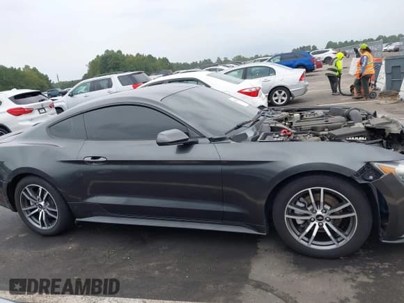 ✅ 2016 Ford Mustang EcoBoost • VIN: 1FA6P8TH0G5251707 • Lot: 43239421. Listed on IAAI with 101,533 mi. Free auction sales archive from the USA and detailed vehicle history report at DreamBid. Image 14.