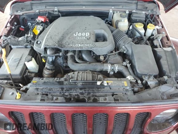 ✅ 2021 Jeep Wrangler Unlimited Sahara Altitude • VIN: 1C4HJXEM3MW762777 • Lot: 67072155. Listed on Copart with Not provided. Free auction sales archive from the USA and detailed vehicle history report at DreamBid. Image 11.