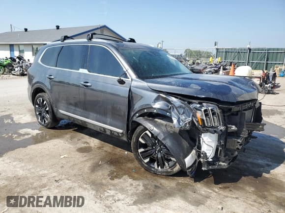 ✅ 2024 Kia Telluride SX • VIN: 5XYP54GCXRG442668 • Lot: 69124815. Listed on Copart with 23,691 mi. Free auction sales archive from the USA and detailed vehicle history report at DreamBid. Image 4.