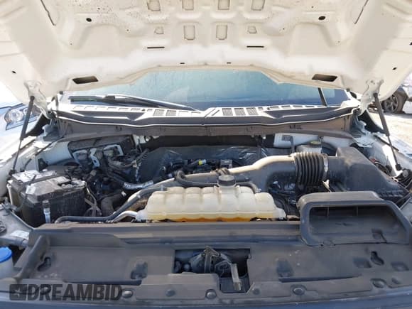 ✅ 2024 Ford F-150 XL • VIN: 1FTMF1KP9RKE76670 • Lot: 43093469. Wystawiony na IAAI z przebiegiem Nie podano. Bezpłatny archiwum sprzedaży aukcyjnych z USA i szczegółowy raport historii pojazdu na DreamBid. Zdjęcie 10.