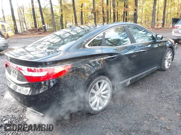 2013 Hyundai Azera с VIN KMHFH4JG4DA329141, выставлен на аукционе IAAI как лот 43618268 с пробегом 118 083 миль миль и . История ставок и продаж доступна на DreamBid. Изображение 4.