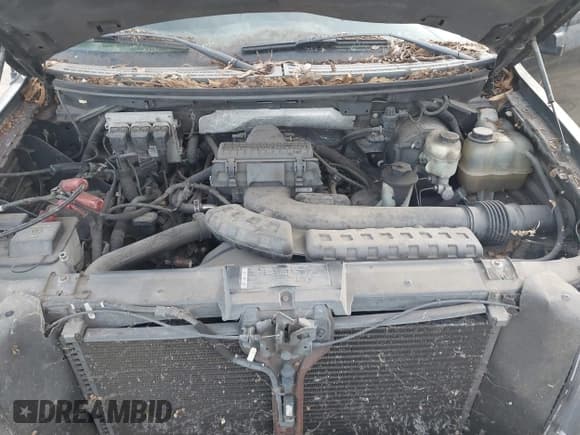 ✅ 2007 Ford F-150 XLT • VIN: 1FTPW12597KD26566 • Lot: 41267961. Wystawiony na IAAI z przebiegiem 215 030 mil. Bezpłatny archiwum sprzedaży aukcyjnych z USA i szczegółowy raport historii pojazdu na DreamBid. Zdjęcie 10.