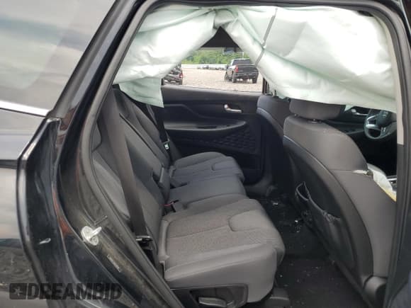 ✅ 2020 Hyundai Santa Fe SEL • VIN: 5NMS3CAD8LH205119 • Lot: 62350824. Wystawiony na Copart z przebiegiem Nie podano. Bezpłatny archiwum sprzedaży aukcyjnych z USA i szczegółowy raport historii pojazdu na DreamBid. Zdjęcie 10.