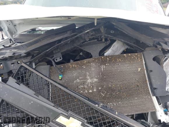 ✅ 2022 Chevrolet Express Cargo • VIN: 1GCWGAFP2N1258506 • Lot: 43262368. Listed on IAAI with Not provided. Free auction sales archive from the USA and detailed vehicle history report at DreamBid. Image 10.