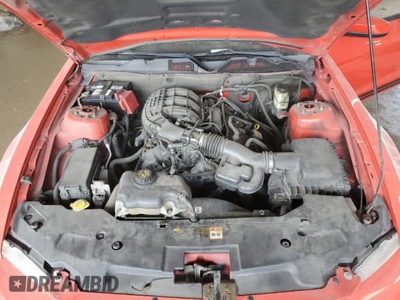 ✅ 2011 Ford Mustang V6 • VIN: 1ZVBP8AM3B5118678 • Lot: 85485425. Listed on Copart with 224,250 mi. Free auction sales archive from the USA and detailed vehicle history report at DreamBid. Image 11.