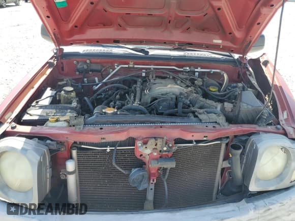 ✅ 2003 Nissan Xterra SE • VIN: 5N1ED28T13C657067 • Lot: 51022435. Wystawiony na Copart z przebiegiem 248 599 mil. Bezpłatny archiwum sprzedaży aukcyjnych z USA i szczegółowy raport historii pojazdu na DreamBid. Zdjęcie 13.