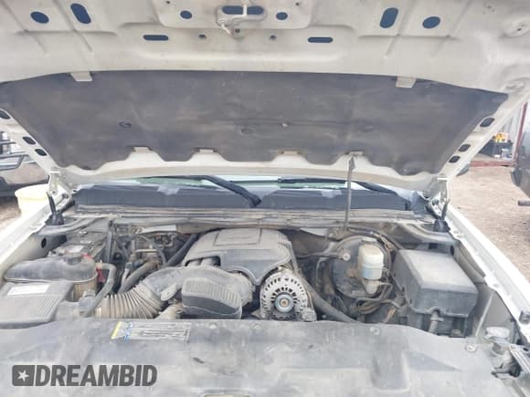 ✅ 2009 Chevrolet Silverado 1500 • VIN: 3GCEC33J79G169282 • Lot: 41387505. Wystawiony na IAAI z przebiegiem 243 182 mil. Bezpłatny archiwum sprzedaży aukcyjnych z USA i szczegółowy raport historii pojazdu na DreamBid. Zdjęcie 10.