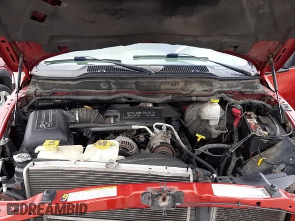 ✅ 2008 Dodge 1500 SLT • VIN: 1D7HU18278S559098 • Лот: 78547754. Опубликован ранее на Copart с пробегом Не указан. Бесплатный доступ к архиву аукционных продаж из США и подробный отчёт об истории автомобиля на DreamBid. Изображение 11.