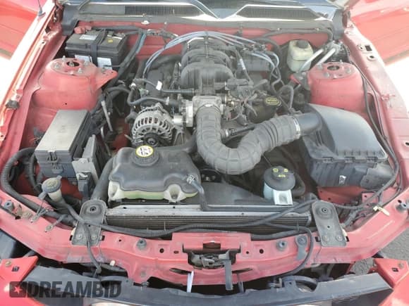 ✅ 2006 Ford Mustang Standard • VIN: 1ZVFT84N565252096 • Lot: 84902415. Listed on Copart with 167,378 mi. Free auction sales archive from the USA and detailed vehicle history report at DreamBid. Image 11.