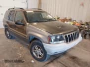 ✅ 2002 Jeep Grand Cherokee Laredo • VIN: 1J4GW48S82C110008 • Lot: 43538286. Listed on IAAI with 262,351 mi. Free auction sales archive from the USA and detailed vehicle history report at DreamBid. Image 1.
