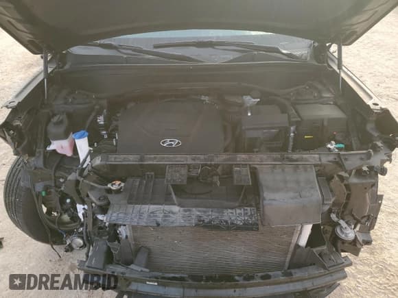 ✅ 2023 Hyundai Palisade SEL • VIN: KM8R44GE1PU511185 • Лот: 44216435. Опубликован ранее на Copart с пробегом 38 903 миль. Бесплатный доступ к архиву аукционных продаж из США и подробный отчёт об истории автомобиля на DreamBid. Изображение 12.