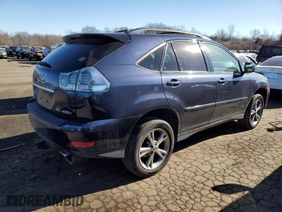 ✅ 2006 Lexus RX 400h • VIN: JTJHW31U062003821 • Lot: 43135445. Listed on Copart with 233,782 mi. Free auction sales archive from the USA and detailed vehicle history report at DreamBid. Image 3.