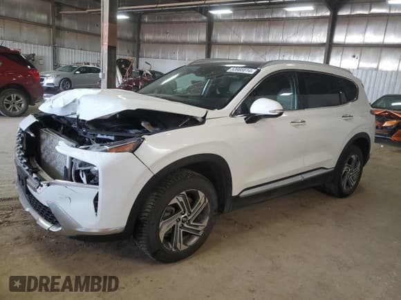 ✅ 2021 Hyundai Santa Fe SEL • VIN: 5NMS3DAJXMH309897 • Lot: 53985614. Wystawiony na Copart z przebiegiem 75 022 mil. Bezpłatny archiwum sprzedaży aukcyjnych z USA i szczegółowy raport historii pojazdu na DreamBid. Zdjęcie 1.
