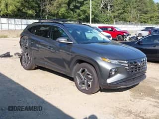 2024 Hyundai Tucson Limited с VIN KM8JECD11RU235356, выставлен на аукционе IAAI как лот 43135108 с пробегом 9 427 миль миль и . История ставок и продаж доступна на DreamBid. Изображение 1.