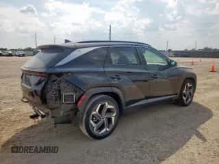 2022 Hyundai Tucson SEL with VIN 5NMJC3AE0NH101733, listed as a Copart auction lot 81021525 with 36,483 mi miles and Salvage title. Bid and sale history available at DreamBid. Image 3.