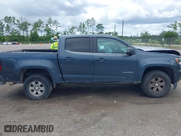✅ 2019 Chevrolet Colorado 2WD Work Truck • VIN: 1GCGSBEA5K1350095 • Lot: 42747596. Listed on IAAI with 117,448 mi. Free auction sales archive from the USA and detailed vehicle history report at DreamBid. Image 13.