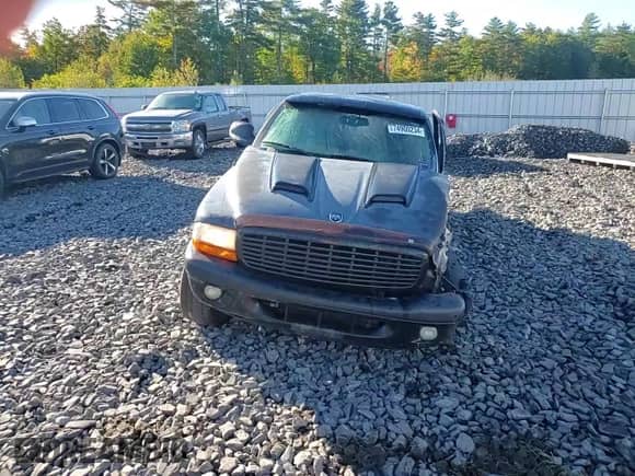 2001 Dodge Dakota Sport с VIN 1B7GG22N21S212533, выставлен на аукционе Copart как лот 74900234 с пробегом 244 227 миль миль и Списание • Salvage title. История ставок и продаж доступна на DreamBid. Изображение 10.