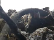 ✅ 2016 Volkswagen Golf R • VIN: WVWUF7AU7GW051559 • Lot: 79423603. Wystawiony na Copart z przebiegiem Nie podano. Bezpłatny archiwum sprzedaży aukcyjnych z USA i szczegółowy raport historii pojazdu na DreamBid. Zdjęcie 9.