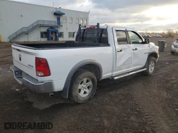 2010 Dodge 1500 SLT with VIN 1D7RV1GT5AS157324, listed as a Copart auction lot 78464954 with 104,366 mi miles and Salvage title. Bid and sale history available at DreamBid. Image 3.