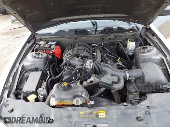 ✅ 2011 Ford Mustang V6 • VIN: 1ZVBP8AMXB5151595 • Lot: 42003999. Listed on IAAI with Not provided. Free auction sales archive from the USA and detailed vehicle history report at DreamBid. Image 10.