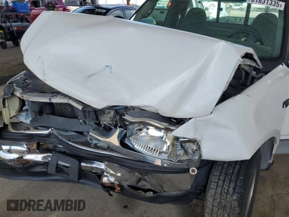 ✅ 1998 Ford F-150 • VIN: 1FTZF1720WNB90719 • Lot: 61631335. Wystawiony na Copart z przebiegiem 153 119 mil. Bezpłatny archiwum sprzedaży aukcyjnych z USA i szczegółowy raport historii pojazdu na DreamBid. Zdjęcie 11.