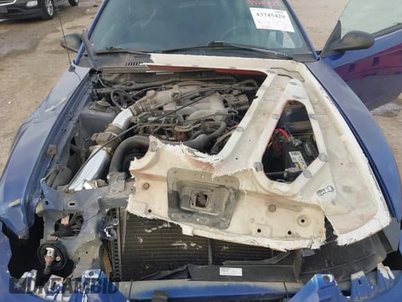 ✅ 2003 Ford Mustang Standard • VIN: 1FAFP40413F314439 • Lot: 43745429. Listed on IAAI with 138,394 mi. Free auction sales archive from the USA and detailed vehicle history report at DreamBid. Image 10.