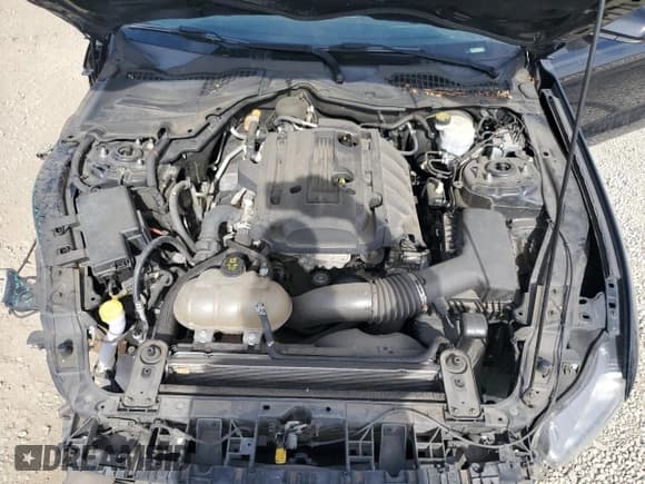 ✅ 2016 Ford Mustang EcoBoost • VIN: 1FA6P8TH3G5308837 • Lot: 91075375. Listed on Copart with 97,799 mi. Free auction sales archive from the USA and detailed vehicle history report at DreamBid. Image 11.