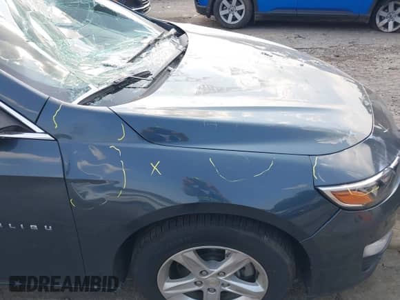 2019 Chevrolet Malibu LS with VIN 1G1ZB5STXKF184023, listed as a IAAI auction lot 42578554 with 107,729 mi miles and . Bid and sale history available at DreamBid. Image 21.