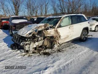 2022 Jeep Grand Cherokee with VIN 1C4RJYB64N8756069, listed as a Copart auction lot 87617485 with Not provided miles and Salvage title. Bid and sale history available at DreamBid. Image 1.