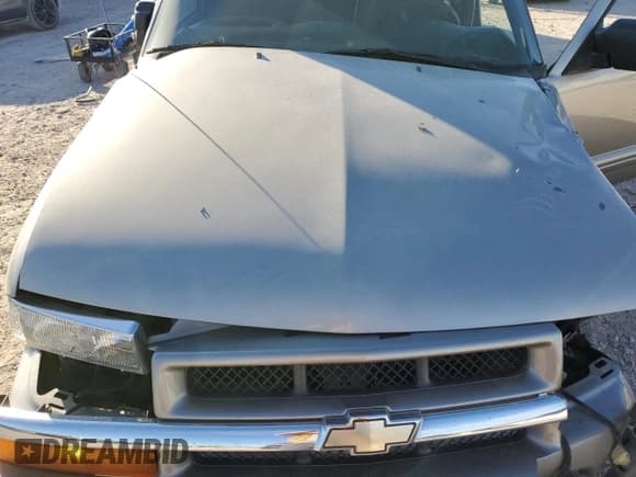 ✅ 2002 Chevrolet Blazer LS • VIN: 1GNDT13W32K176893 • Lot: 83825134. Wystawiony na Copart z przebiegiem Nie podano. Bezpłatny archiwum sprzedaży aukcyjnych z USA i szczegółowy raport historii pojazdu na DreamBid. Zdjęcie 12.