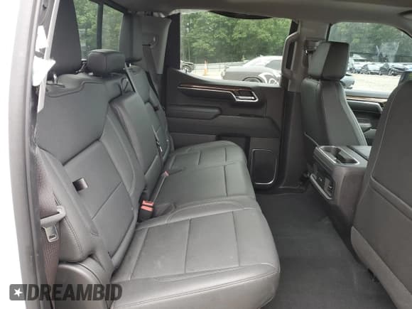 ✅ 2023 Chevrolet Silverado 1500 LT Trail Boss • VIN: 3GCUDFE85PG328124 • Lot: 61724685. Wystawiony na Copart z przebiegiem Nie podano. Bezpłatny archiwum sprzedaży aukcyjnych z USA i szczegółowy raport historii pojazdu na DreamBid. Zdjęcie 10.