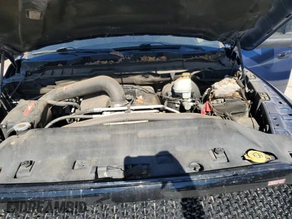 ✅ 2009 Dodge 1500 SLT • VIN: 1D3HB13T49S743147 • Lot: 80421384. Wystawiony na Copart z przebiegiem 243 851 mil. Bezpłatny archiwum sprzedaży aukcyjnych z USA i szczegółowy raport historii pojazdu na DreamBid. Zdjęcie 12.