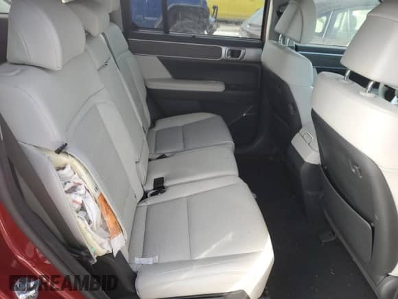 2024 Hyundai Santa Fe Limited с VIN 5NMP3DG15RH004487, выставлен на аукционе Copart как лот 86103644 с пробегом Не указан миль и Списание • Salvage title. История ставок и продаж доступна на DreamBid. Изображение 11.