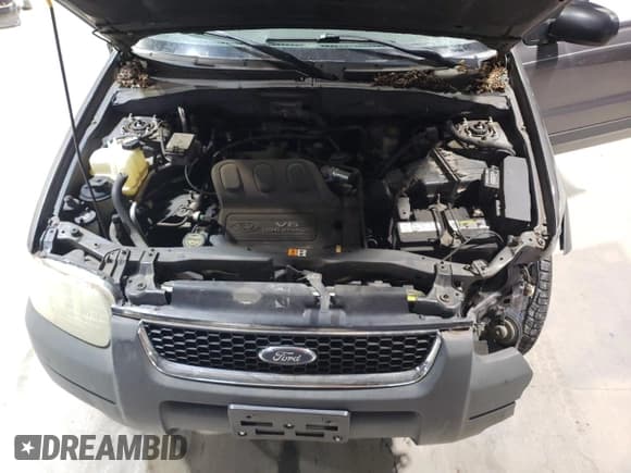 ✅ 2002 Ford Escape XLT Choice • VIN: 1FMYU03142KD13339 • Lot: 91817675. Wystawiony na Copart z przebiegiem 197 729 mil. Bezpłatny archiwum sprzedaży aukcyjnych z USA i szczegółowy raport historii pojazdu na DreamBid. Zdjęcie 12.